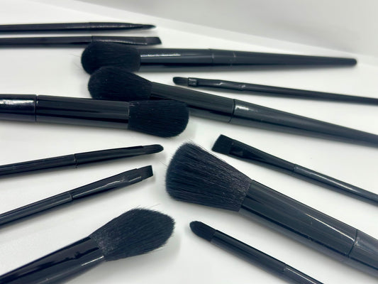 Set de Brochas Profesionales Negro