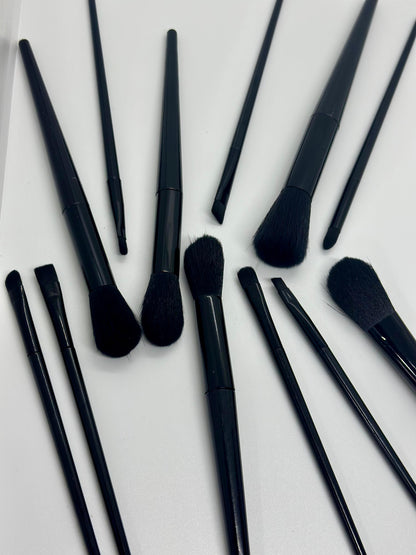 Set de Brochas Profesionales Negro